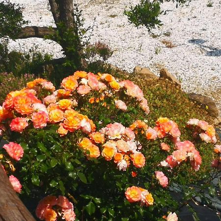 Agriturismo I Colli Montaione Zewnętrze zdjęcie