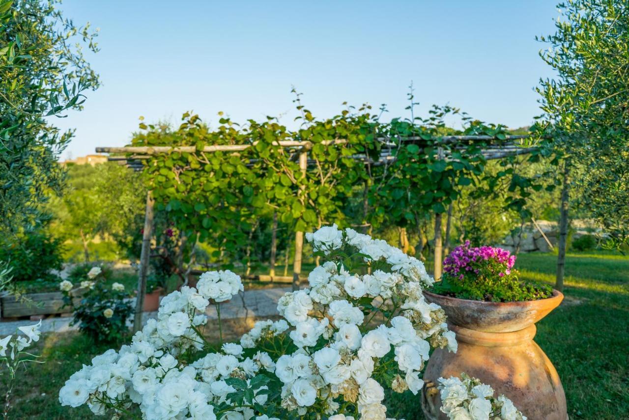 Agriturismo I Colli Montaione Zewnętrze zdjęcie