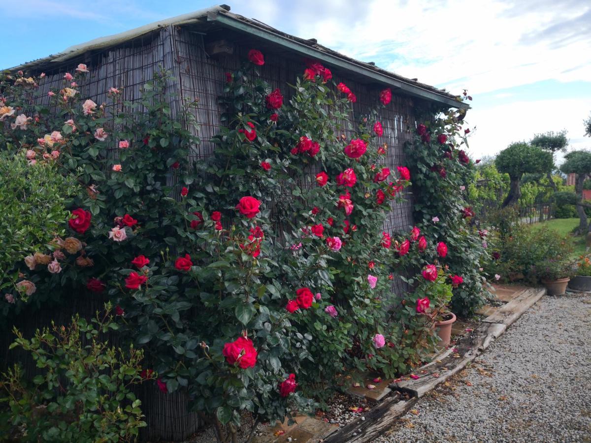 Agriturismo I Colli Montaione Zewnętrze zdjęcie