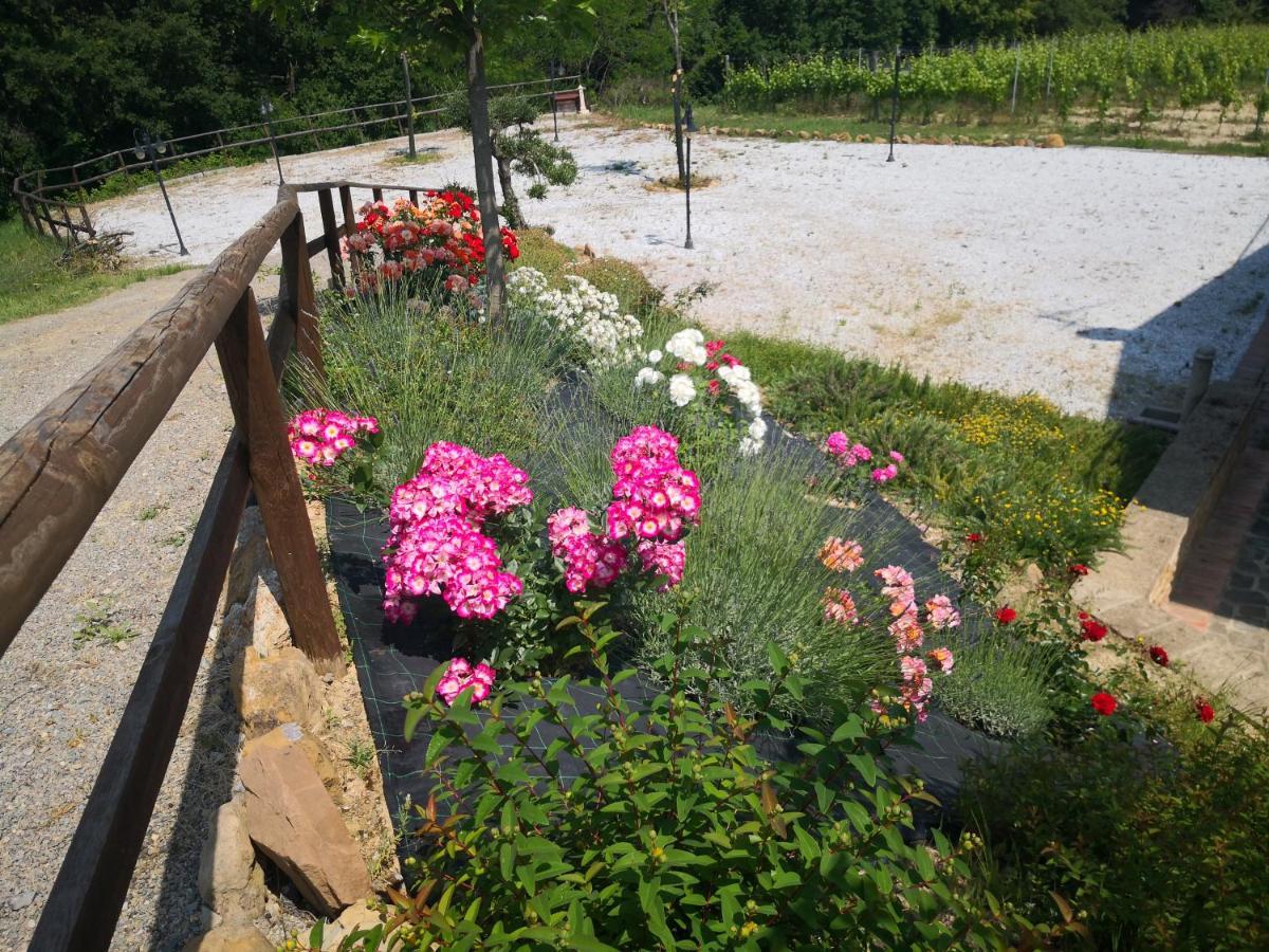 Agriturismo I Colli Montaione Zewnętrze zdjęcie
