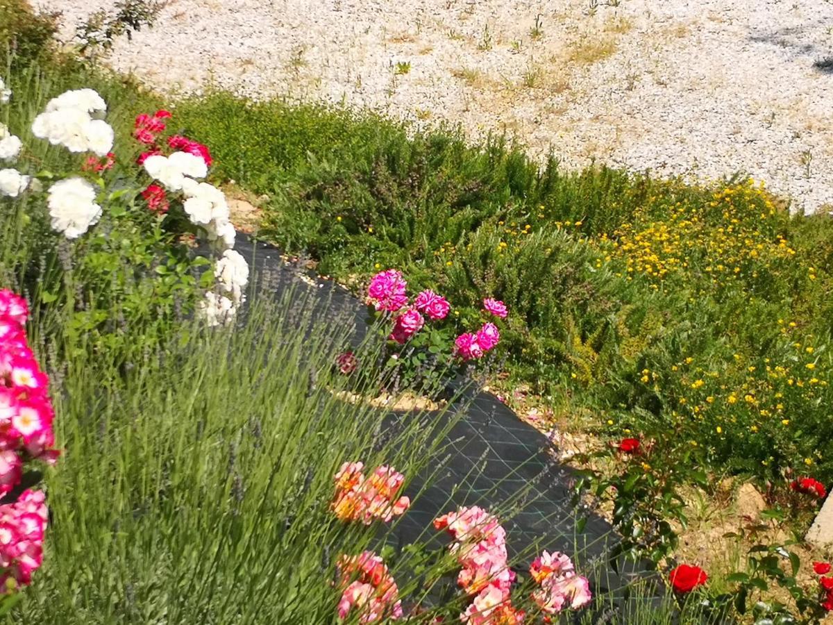 Agriturismo I Colli Montaione Zewnętrze zdjęcie