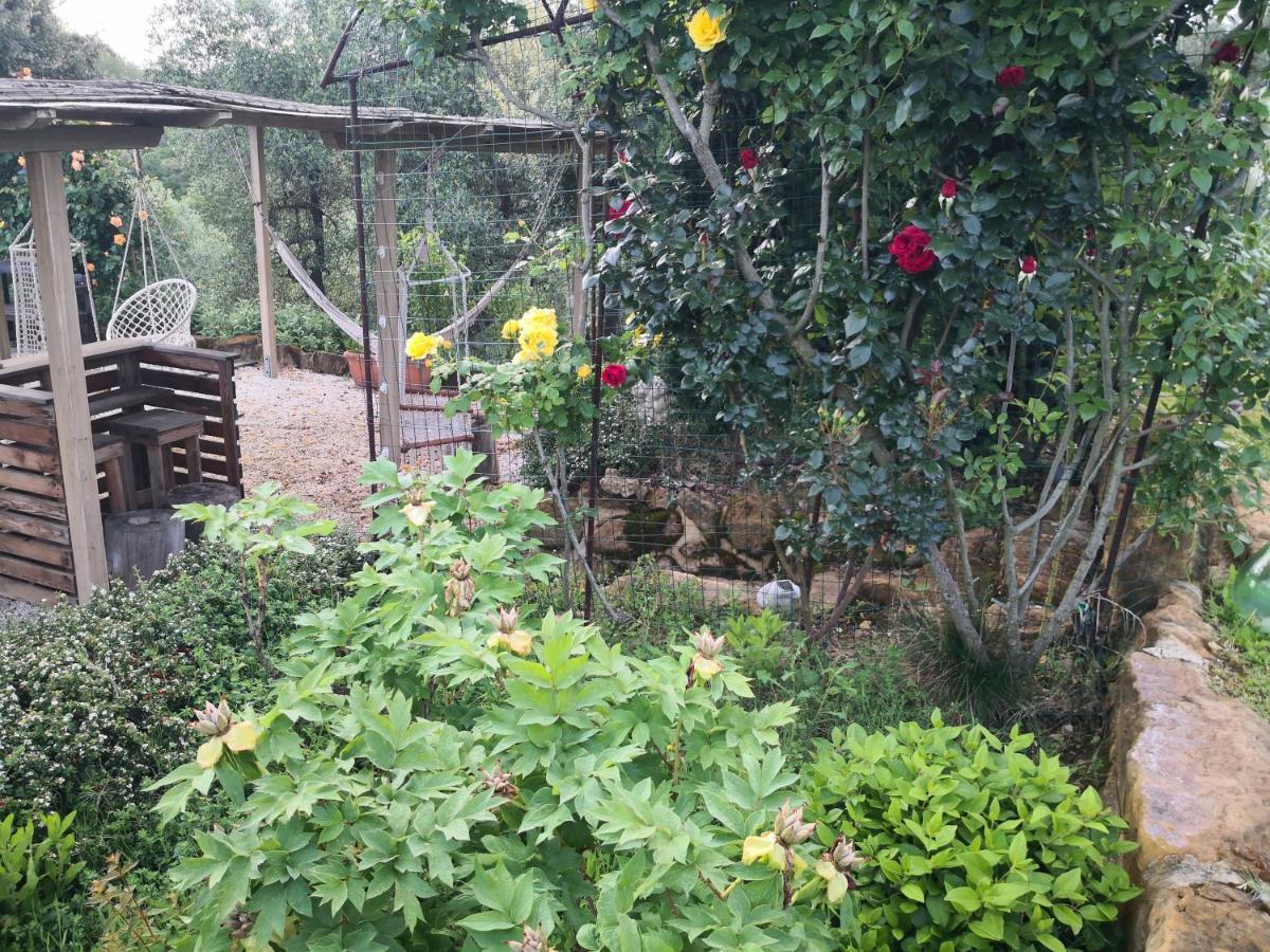 Agriturismo I Colli Montaione Zewnętrze zdjęcie
